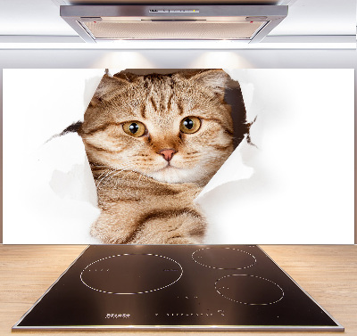 Achterwand keuken Kat
