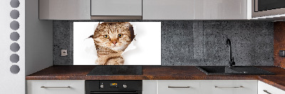 Achterwand keuken Kat