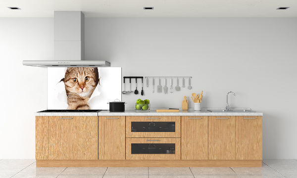 Achterwand keuken Kat