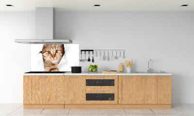 Achterwand keuken Kat