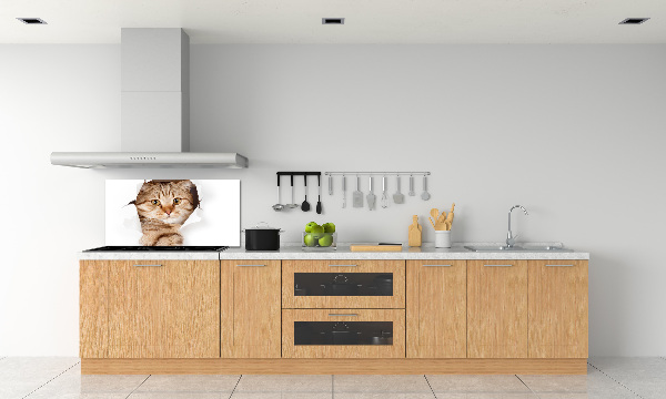 Achterwand keuken Kat