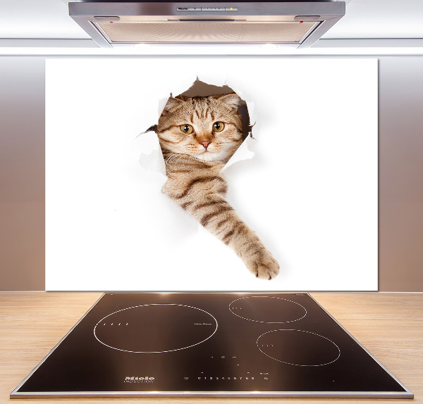 Achterwand keuken Kat