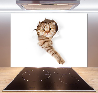 Achterwand keuken Kat