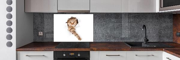 Achterwand keuken Kat