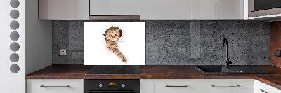 Achterwand keuken Kat