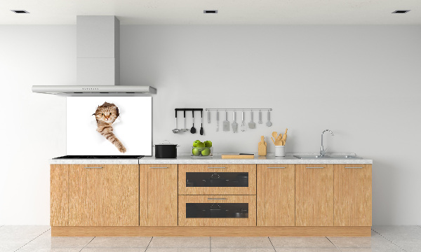 Achterwand keuken Kat