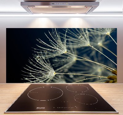 Achterwand keuken Paardenbloemzaden