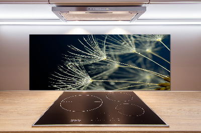 Panel do kuchni Nasiona dmuchawca