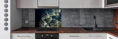 Achterwand keuken Paardenbloemzaden