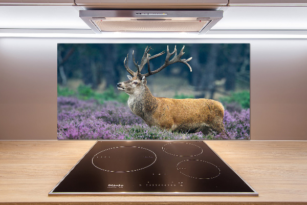 Spatscherm keuken Hert tussen de lavendel