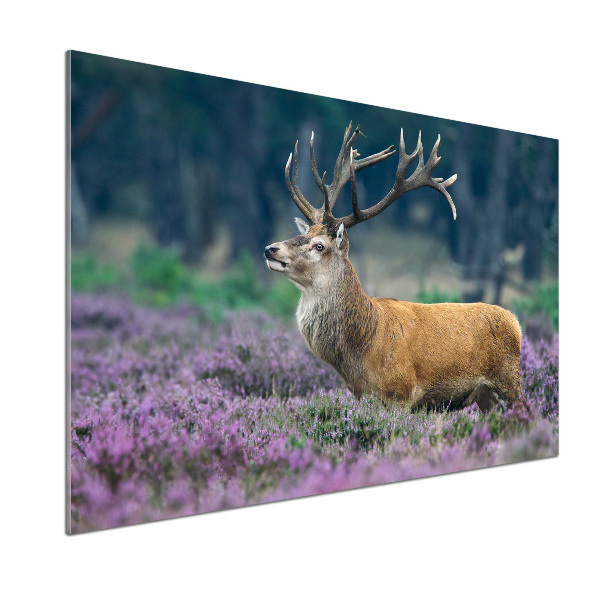 Spatscherm keuken Hert tussen de lavendel
