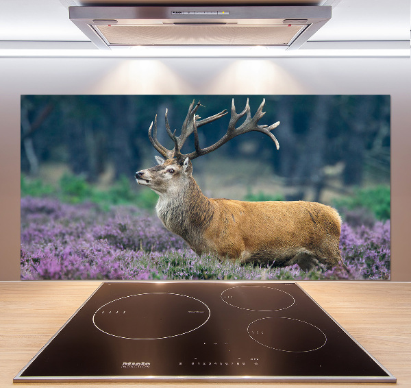 Spatscherm keuken Hert tussen de lavendel