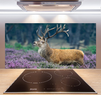 Spatscherm keuken Hert tussen de lavendel