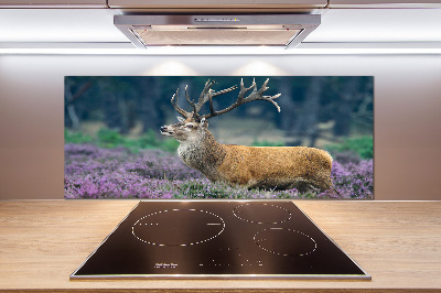 Spatscherm keuken Hert tussen de lavendel
