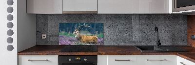 Spatscherm keuken Hert tussen de lavendel