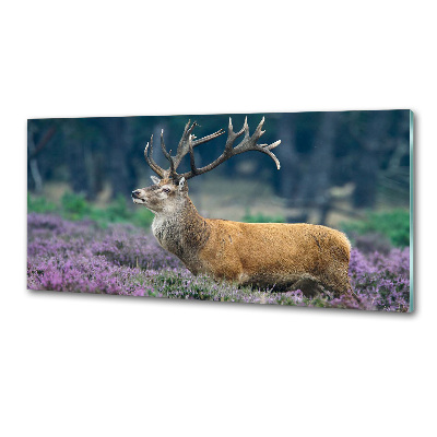Spatscherm keuken Hert tussen de lavendel