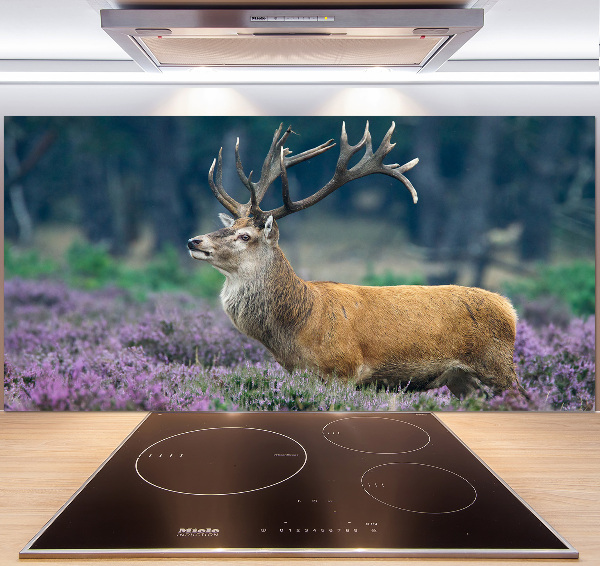 Spatscherm keuken Hert tussen de lavendel