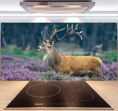Spatscherm keuken Hert tussen de lavendel