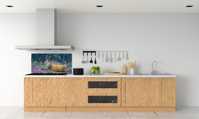 Spatscherm keuken Hert tussen de lavendel