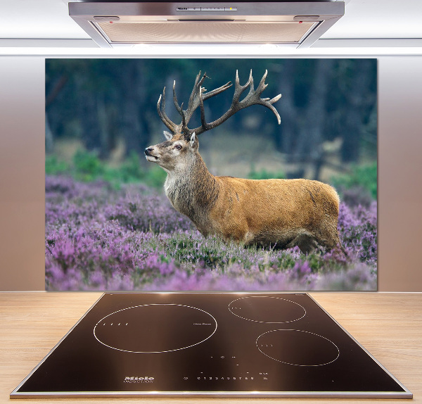 Spatscherm keuken Hert tussen de lavendel