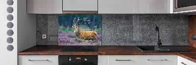 Spatscherm keuken Hert tussen de lavendel