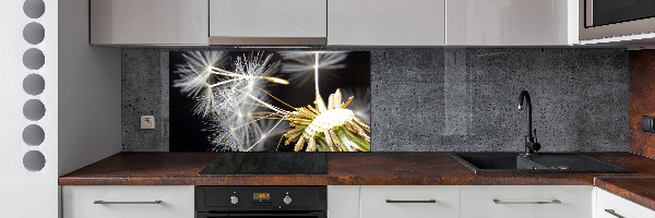 Spatscherm keuken Paardenbloemzaden