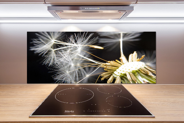 Spatscherm keuken Paardenbloemzaden