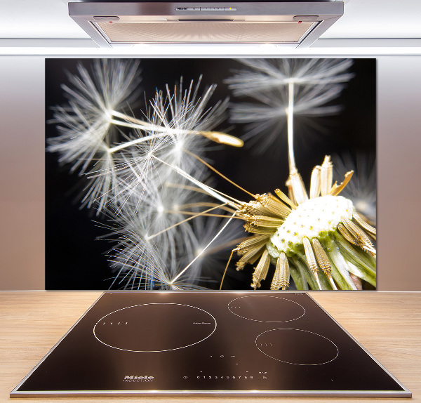 Spatscherm keuken Paardenbloemzaden