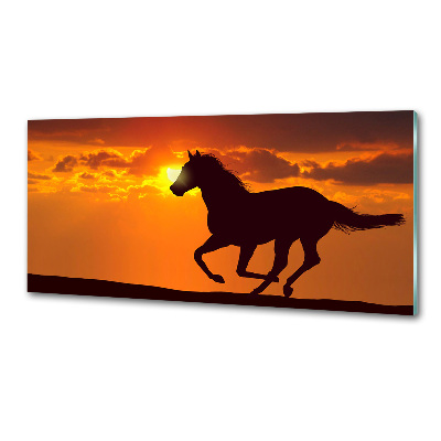 Spatplaat keuken Paardenzonsondergang