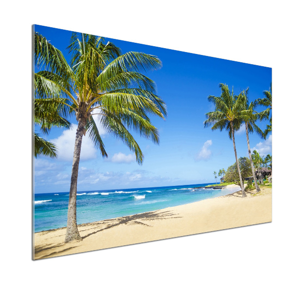 Glazen achterwand keuken Tropisch strand
