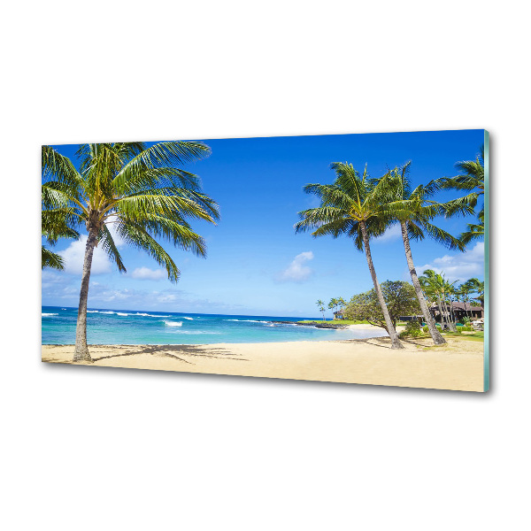 Glazen achterwand keuken Tropisch strand