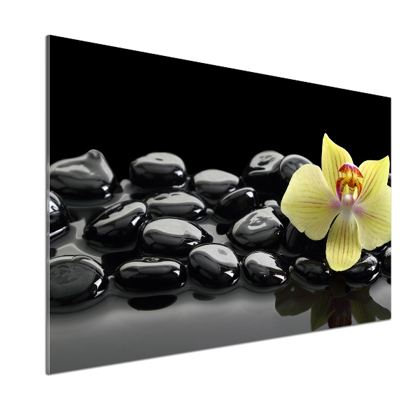 Spatplaat keuken Orchidee