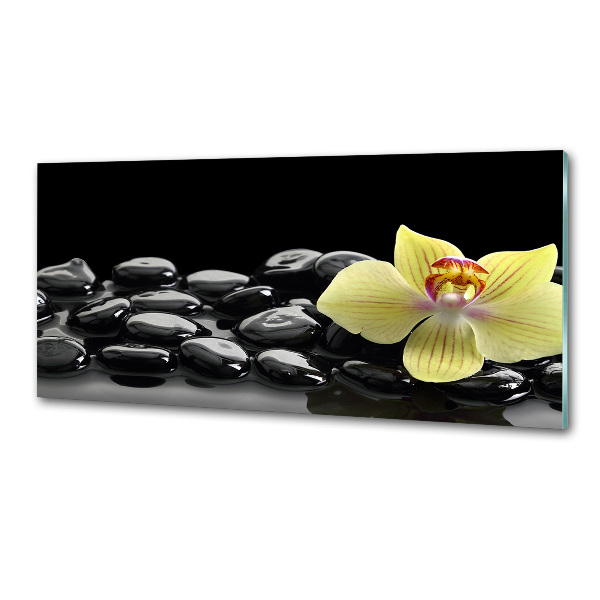 Spatplaat keuken Orchidee