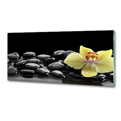 Spatplaat keuken Orchidee