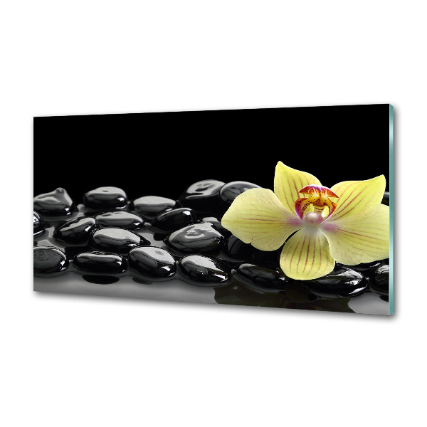 Spatplaat keuken Orchidee