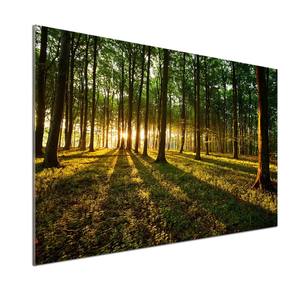 Panel do kuchni Promienie słońca