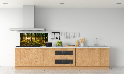 Achterwand keuken Zonnestralen
