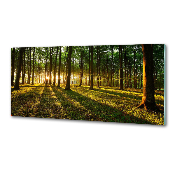 Achterwand keuken Zonnestralen