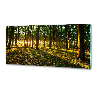 Achterwand keuken Zonnestralen