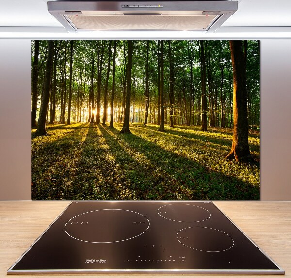 Panel do kuchni Promienie słońca