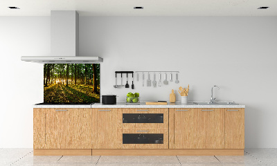 Achterwand keuken Zonnestralen