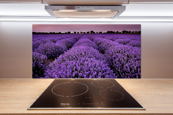 Achterwand keuken Lavendelveld