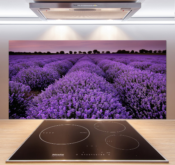 Achterwand keuken Lavendelveld