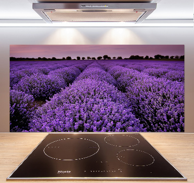Achterwand keuken Lavendelveld