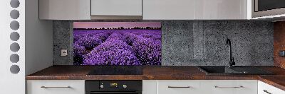 Achterwand keuken Lavendelveld