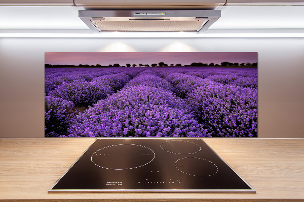 Achterwand keuken Lavendelveld