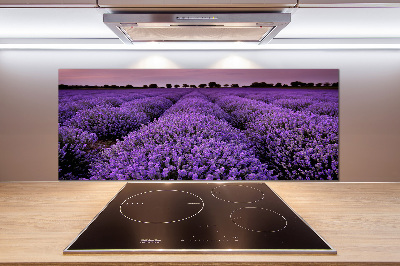 Achterwand keuken Lavendelveld