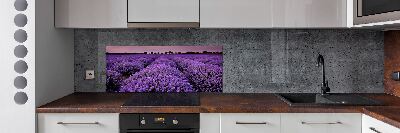 Achterwand keuken Lavendelveld
