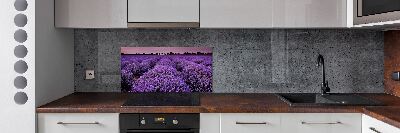 Achterwand keuken Lavendelveld