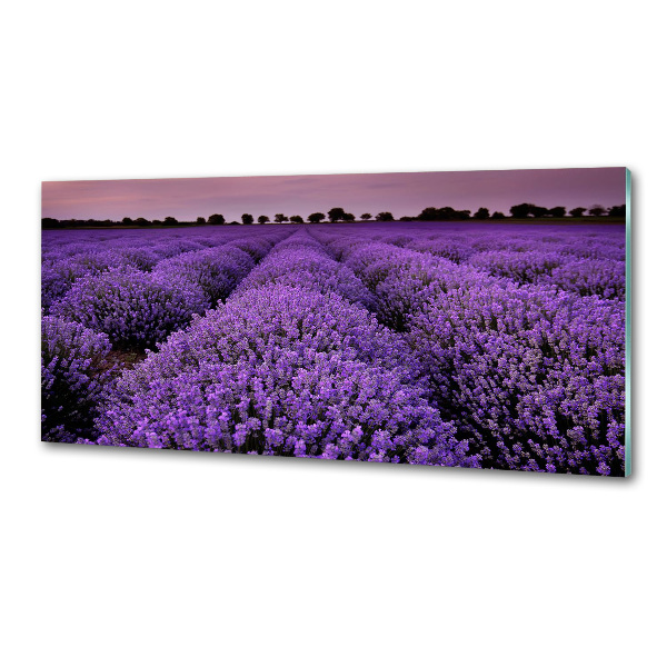 Achterwand keuken Lavendelveld